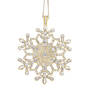 Dazzling Christmas Ornament Set 12162 0017 i front