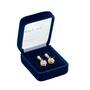 Celestia Earrings 4641 0056 b box