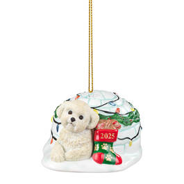 Dog Annual Ornament Bichon 6428 1009 a main