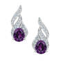 Genuine Birthstone and Diamond Earrings 11573 0020 b february