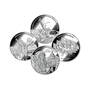Annual Silver Bullion Set 10364 0041 a main