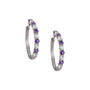 Birthstone Brilliance Hoops 12064 0016 b february