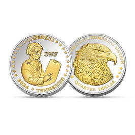 Native American Platinum and Gold State Quarters 12422 0013 a main