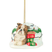 Dog Annual Ornament Bulldog 6428 1249 a main