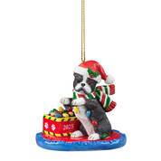 Dog Annual Ornament Boston Terrier 6428 1017 a main