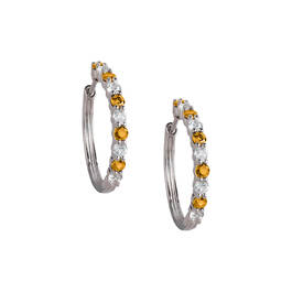 Birthstone Brilliance Hoops 12064 0016 k november
