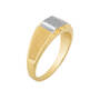 Diamond Landmark 10kt Gold Ring 11791 0018 b side