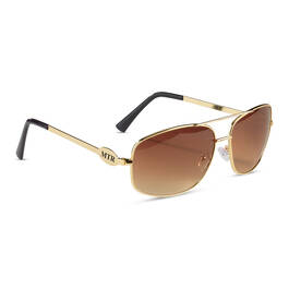 The Polarized Aviator Sunglasses 12514 0020 a main