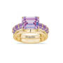 Born to Shine Birthstone Ring with Free Personalized Accent Band 12671 0011 f june