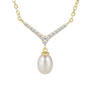 The Endless Elegance Jewelry Collection, 12 Days of Christmas Jewelry Set 11802 0015 m pendant