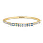 Birthstone Hearts Bangle 11396 0017 i september