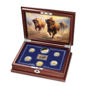 Platinum Gold Buffalo Coin and Stamp set 11749 0011 d display