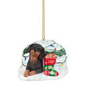 Dog Annual Ornament DachsBT 6428 1066 a main