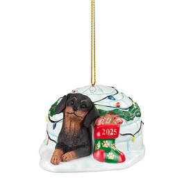 Dog Annual Ornament DachsBT 6428 1066 a main