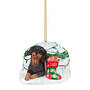 Dog Annual Ornament DachsBT 6428 1066 a main