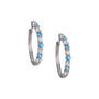 Birthstone Brilliance Hoops 12064 0016 l december