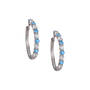 Birthstone Brilliance Hoops 12064 0016 c march