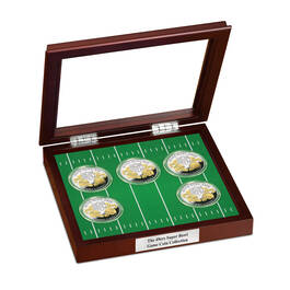 The San Francisco 49ers Super Bowl Game Coin Collection 11733 0043 c display