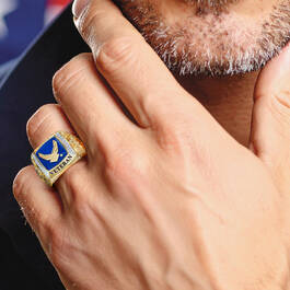 The US Air Force Diamond Heritage Ring 12827 0048 m model
