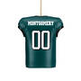 The Eagles Personalized Christmas Ornament, The Eagles Personalized Christmas Ornament with FREE helmet 11399 0022 d back
