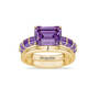 Born to Shine Birthstone Ring with Free Personalized Accent Band 12671 0011 b february