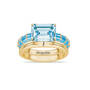 Born to Shine Birthstone Ring with Free Personalized Accent Band 12671 0011 m december