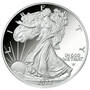 2022 early issue san francisco mint proof flying eagle SS2 b Coin
