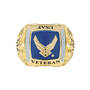 The US Air Force Diamond Heritage Ring 12827 0048 d flat