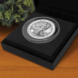 Walking Liberty $2 Silver Bullion Coin 12723 0019 m room