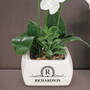 Personalized Lasting Beauty Faux Orchid, Personalized Lasting Beauty Faux Orchid 11820 0013 m room