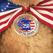 The 250th Anniversary Of America Bear 12725 0017 b closeup