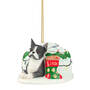 Dog Annual Ornament Boston Terrier 6428 1165 a main