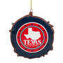 Texas Annual Ornament 0892 0225 b reverse
