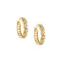 Dazzling Huggie Hoops Five Earring Set, Dazzling Huggie Hoops Five Earring Set 11555 0014 d earing