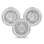 Liberty Head Silver Dimes Collection 11053 0029 b coin