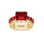 Born to Shine Birthstone Ring with Free Personalized Accent Band 12671 0011 a main