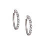 Birthstone Brilliance Hoops 12064 0016 d april
