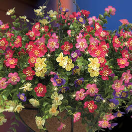 The Personalized Forever Blossom Basket 12379 0016 c closeup