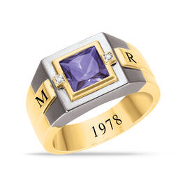 Personal Legacy Birthstone and Diamond Ring 12236 0019 b february