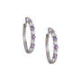 Birthstone Brilliance Hoops 12064 0016 f june