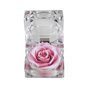 My Daughter I Love You Diamond Pendant with FREE Miracle Rose 2965 0223 c miracle rose